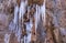 Icicles in a Winter Scenic in Zion National Park Utah