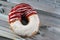 Icing powdered confectioners\' sugar and Strawberry flavored ring donut, A glazed, yeast raised,