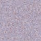 Icing sweet muted color sugar seamless pattern