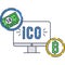 ICO icon computer monitor, bitcoin token and cash