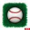 Icon Baseball ball in green grass. Vector
