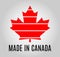 Icon Canada maple leaf. Made in Canada sign. Vector illustration design, t-shirt.