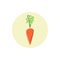 Icon carrot root vegetable , vector illustration