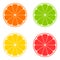 Icon citrus: orange, lime, lemon, grapefruit. Vector.