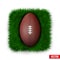 Icon Classic rugby ball on green grass. Vector.