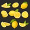 Icon collection of sliced and whole lemons. Organic citrus fruit. Natural and healthy eating. Detailed vector elements