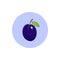 Icon Colorful Plum