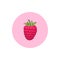 Icon Colorful Raspberries