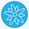 Icon Edelweiss. suitable for education symbol. blue eyes style. simple design editable. design template vector. simple