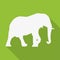 Icon elephant in white on a green background in a flat design