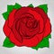 Icon of flower, red rose, vector floral symbol.