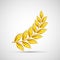 Icon gold olive branch. Symbol of victory and reward.