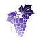 Icon Of Grape