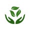 Icon of hands carefully holding green leaves. Symbol of ecology, environmental awareness, nature protection concept.