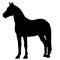 Icon of horse silhouette. Illustration of stallion