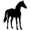 Icon of horse silhouette. Illustration of stallion