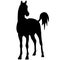 Icon of horse silhouette. Illustration of stallion