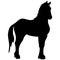 Icon of horse silhouette. Illustration of stallion