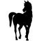 Icon of horse silhouette. Illustration of stallion