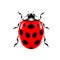 Icon ladybug or lady bird on white background. Red ladybug, Insect beetle, Symbol of nature