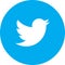 Icon logo twitter vector color