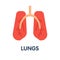 Icon Lungs flat style icon design  illustration on white background