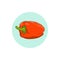 Icon orange bell pepper,sweet pepper or capsicum
