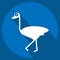 Icon Ostrich. related to Domestic Animals symbol. simple design editable. simple illustration