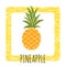 Icon pineapple cute hand-drawn. Vector illustration.