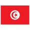 Icon representing flag of Tunisia. Ideal for catalogs of institutional materials