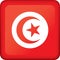 Icon representing square button flag of Tunisia. Ideal for catalogs of institutional materials