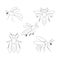 Icon set of 5 wasps.Vector illustration.