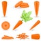 Icon Set Carrot