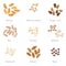 Icon set of cereal grains part 2