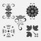 Icon set flower,decorative ornaments nature, sprout, label