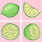 Icon set - lime fruit