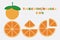 Icon set of Tangerine and orange graphic with circular shape design.