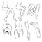 Icon set of zones for hair depilation: legs, armpit, mustache, arms, bikini