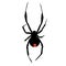 Icon silhouette of a poisonous black widow spider. template