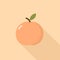 Icon of a simple peach in a flat cartoon style on an isolated background with a shadow. Vector
