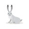 Icon of White Snowshoe Hare isolated, forest, woodland animal