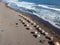 The iconic aerial view of Suwuk Beach in Kebumen Regency