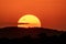 Iconic Africa sunset and orange sky with large sun, over the Masaai Mara Reserve in Kenya