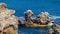 The iconic Camel rock at Cape Northumberland in Port MacDonnell South Australia on November 10th 2020