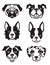 Iconic dog face symbols