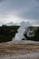 Iconic geyser in Yellowstone, the old Faitful