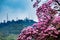 The iconic Hill of the Three Crosses at the city of Cali in Colombia