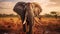 Iconic Imagery: Elephant In Savannah Meadow