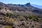 Iconic images of the famous and historical Route 66, Oatman Road