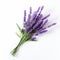 Iconic Lavender Flowers On White Background By Wlad Safronow